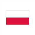 Poland Flag Temporary Tattoos - 30 Sheets for Fans