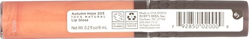 Burt's Bees Moisturizing Lip Gloss, Autumn Haze