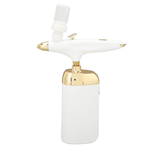 Oxygen Facial Nano Mist Sprayer Cordless Portable Device