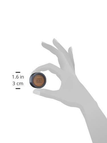 Cinema Secrets Ultimate Corrector Cream Concealer
