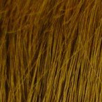 My Secret Hair Enhancer Medium Brown 5oz (3-Pack)