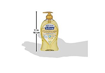 Antibacterial Hand Soap, Citrus, 11 1/4 oz Pump Bottle