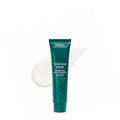 Aveda Botanical Repair Leave-In Treatment | Strengthening & Heat Protectant