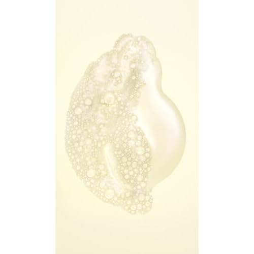 Oribe Hair Alchemy Resilience Shampoo