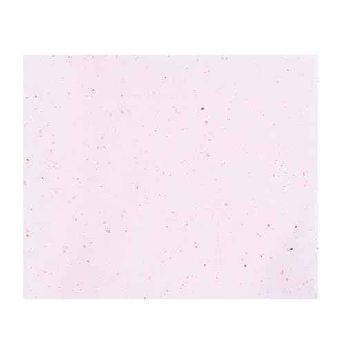 Calming Rose-Infused Oil Blotting Paper ? 100 Sheets | Facial Blotting Papers for Oily Skin & Makeup | Travel Case with Mirror Included