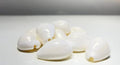 White Cowrie Shells for Lakshmi Puja - 11 Pieces, 2-3cm