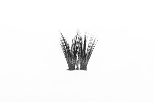 D Curl Cluster Lashes Mixed 10-16mm Eyelash Extensions