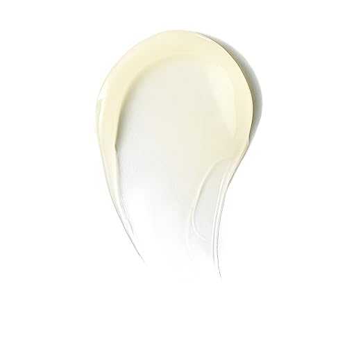 Well People Snow Mushroom Eye Gel-Cream | Vegan