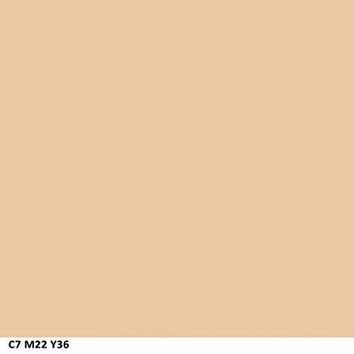 COVERGIRL Clean Matte Concealer, Fair 110, 0.37 Fl Oz, 2 Count