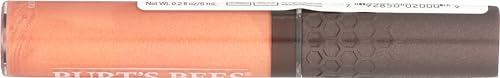 Burt's Bees Moisturizing Lip Gloss, Autumn Haze