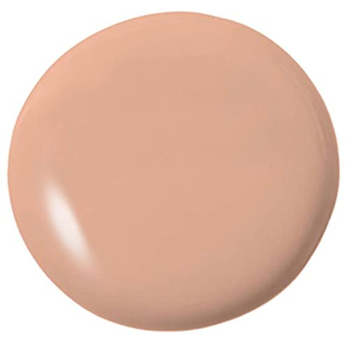 Temptu Perfect Canvas Hydra Lock Airbrush Foundation, Rose Beige, 1 Fl Oz