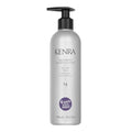 Kenra Smoothing Blowout Lotion 14 | Thermal Protection