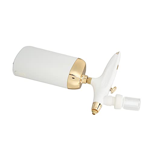 Oxygen Facial Nano Mist Sprayer Cordless Portable Device