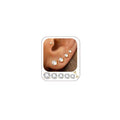 14K Gold Plated Hypoallergenic Stud Earrings Set for Women