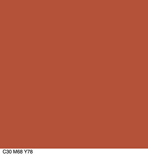 COVERGIRL Colorlicious Lip Liner Smoky 205 - Moisturizing Lip Definition