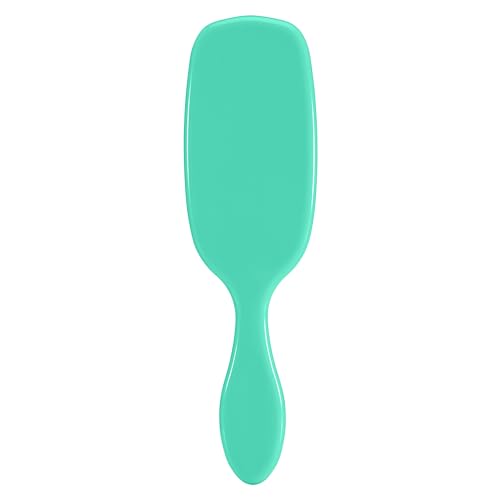 Wet Brush Shine Enhancer Aqua - Pack of 1 Natural Boar & IntelliFlex Brush