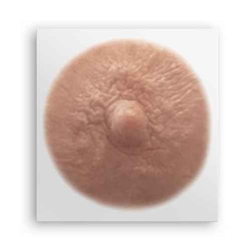 TataTattoos Temporary Realistic Nipple/Areola Tattoo (Cream, Large (Pack of 20))