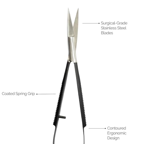 Joey Healy Precision Brow Scissor – Surgical Stainless Steel