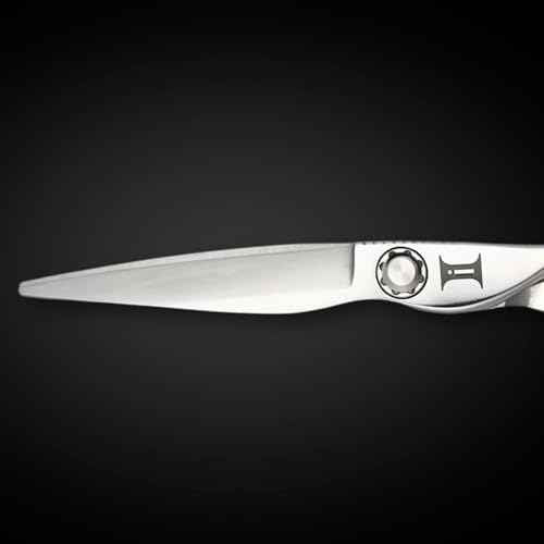 Ascent 6-Inch Hair Cutting Scissors - Silver, Compact, Right Hand, Convex Edge, 440C Stainless Steel