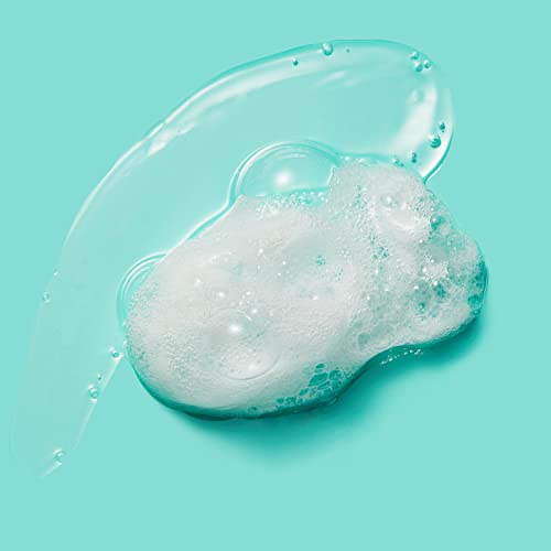 Carol's Daughter Mousse Styler - Wash Day Delight Hair Gel to Foam for Curls, Aloe, Natural Hold 8.5 fl oz