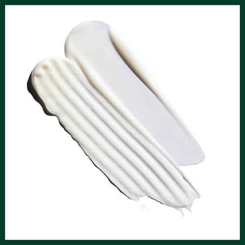 Aveda Nutriplenish Shampoo Light Moisture | Superfood Shampoo for Dry Hair | Organic Pomegranate Oil, Coconut Oil, Mango Butter | 94% Naturally Derived*