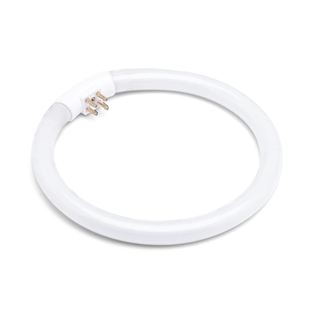 lumenivo 5.5 Inch Outside Diameter, T4 12W 6400K Circular Fluorescent Bulb, Replacement for Conair Round Makeup Mirror - 2 Pack