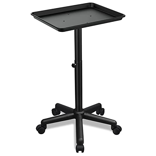 Adjustable Height Salon Rolling Tray with Storage
