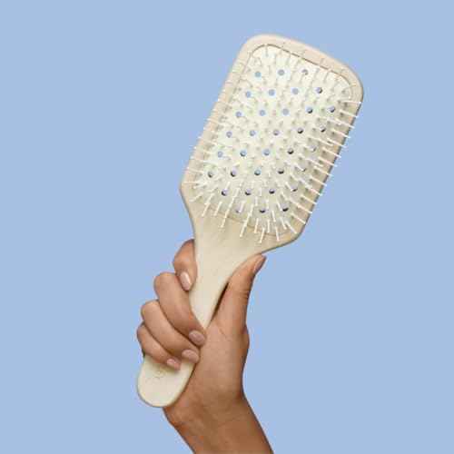 Philip Kingsley Vented Paddle Hair Brush for Detangling, Blow Drying, Straightening and Styling Long, Thick, Fine, Straight Hair, Anti-Static Brushes