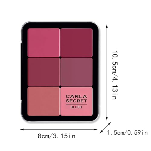 FantasyDay 12-Color Blush Palette with Brush Set