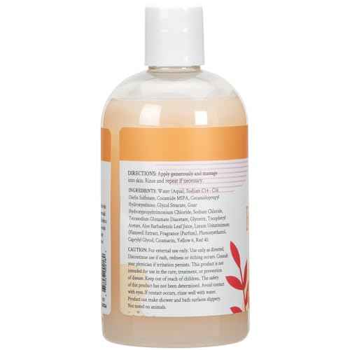 Ginger Lily Farms Botanicals Nourishing Body Wash, Coco Mango, 100% Vegan & Cruelty-Free, Coconut Mango Scent, 12 Fl Oz