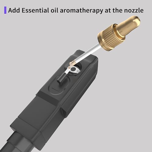 Professional Facial Steamer with Ozone & Magnifying Lamp
