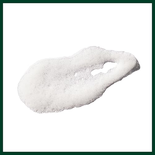 Aveda Outer Peace Foaming Cleanser | Daily Face Cleanser for Acne-Prone Skin | with Powerful Plant Extracts, 4.2 Fl Oz