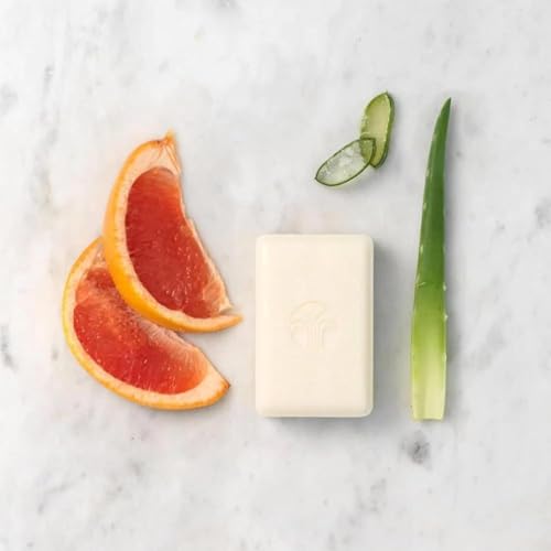 Nu Skin Body Bar Soap | Gentle Cleansing Bar with Moisturizing Aloe Vera | Non-Drying Daily Cleanser for Hands, Body & Face | Refreshing Scent | Soft, Hydrated & Revitalized Skin | 4 oz (2 Pack)