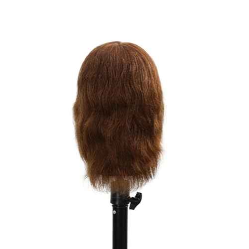 Stancia Barber Mannequin Head Male, Mannequin Head Human Hair for Practicing Haircut, Cosmetology Mannequin Head with 100% Human Hair