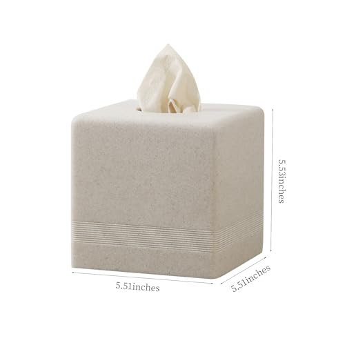 Resin Tissue Box Cover - Square Cube Holder for Home & Office