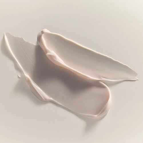 ANNEMARIE B?RLIND - SYSTEM ABSOLUTE Regenerating Night Cream - Anti Wrinkle Moisturizer with Aloe, Algae and Meadowfoam Extracts - Nourishes, Tones, and Hydrates - 1.69 Fl. Oz