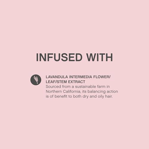KEVIN.MURPHY ANTI.GRAVITY - Volumising & Texturising Lotion for All Hair Types - Hair Volume, Texture & Shine - Less Flyaways - Sulphate & Paraben Free - 150 mL / 5.1 fl oz
