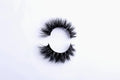 Harmony n Hues 3D Mink Eyelashes – Siberian Volume Reusable