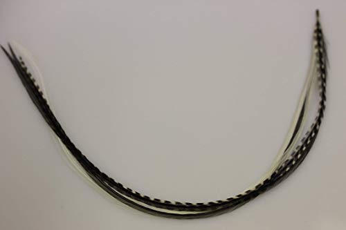 Feather Hair Extensions 4-7" Black & White Rooster Salon Quality