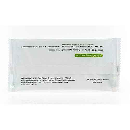 Travel Well Makeup Remover Wipes - 500 Count, Individually Wrapped - Natural Aloe Non-Woven Facial Wipes - Bulk Travel Essentials & Hotel Toiletries