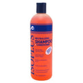 Isoplus Neutralizing Shampoo + Conditioner 16 Ounce (473ml) (3 Pack)