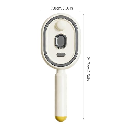 Rechargeable Steam Detangling Brush for Curly & Thick Hair
