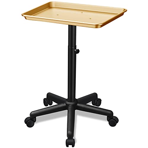 Golden Salon Adjustable Height Aluminum Rolling Tray for Hair & Tattoo Professionals (Golden)