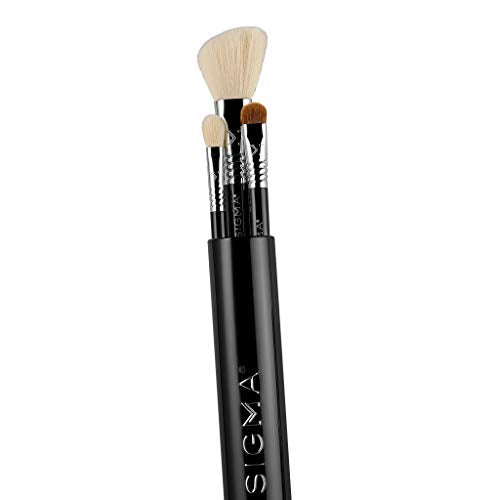 Sigma Beauty Travel Essential Trio - Makeup Brush Set for Foundation Powder Eyeshadow - 3 Tool Brushes with Brush Tin Holder - Skin Safe, Vegan Makeup Brushes for Travel - Black