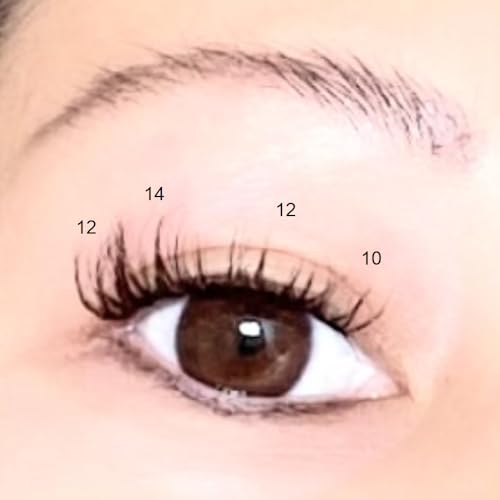 DIY Lash Extension Clusters - 120 Mixed Length C Curl Segments