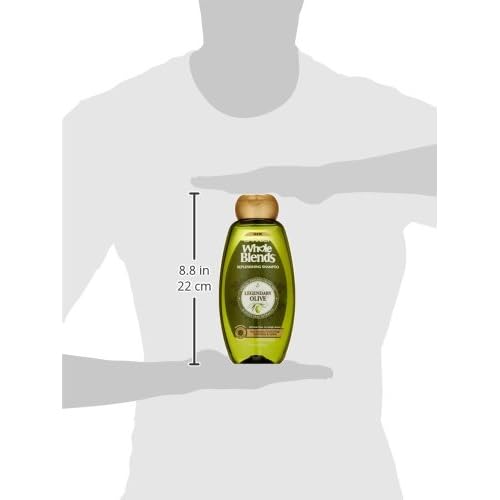 Garnier Whole Blends Replenishing Shampoo Legendary Olive, Dry Hair, 22 fl. oz.