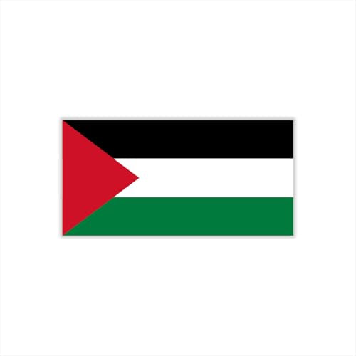 30 Temporary Palestine Flag Tattoos Fans Face Tattoo Stickers for Adults Kids Group Activity Props