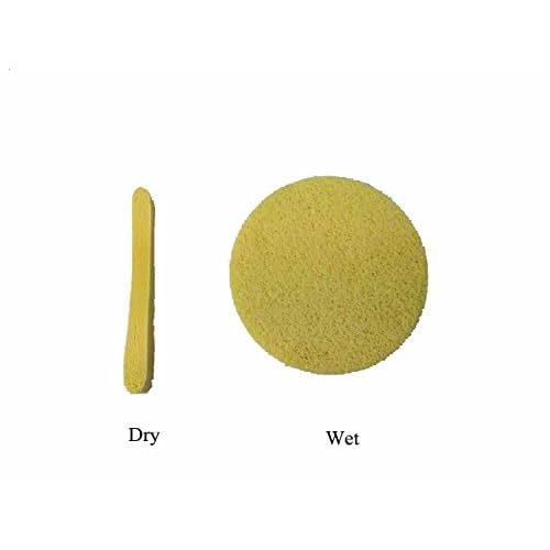 Huini Compressed Salon Spa Facial Cleansing Sponge Sticks, Natural (240 Count)