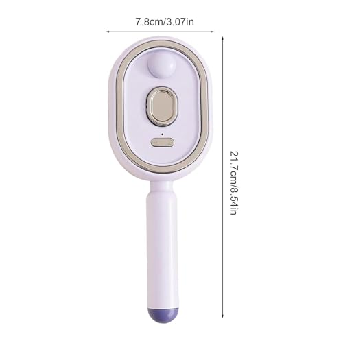 Rechargeable Steam Hair Brush - Detangling Comb for Curly & Thick Hair