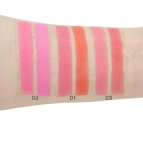 Mesvol 2 Color Blush Powder - Natural All-Day Glow